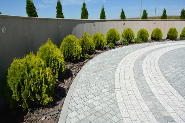 Best Affordable Driveway Paving  in Mertzon, TX